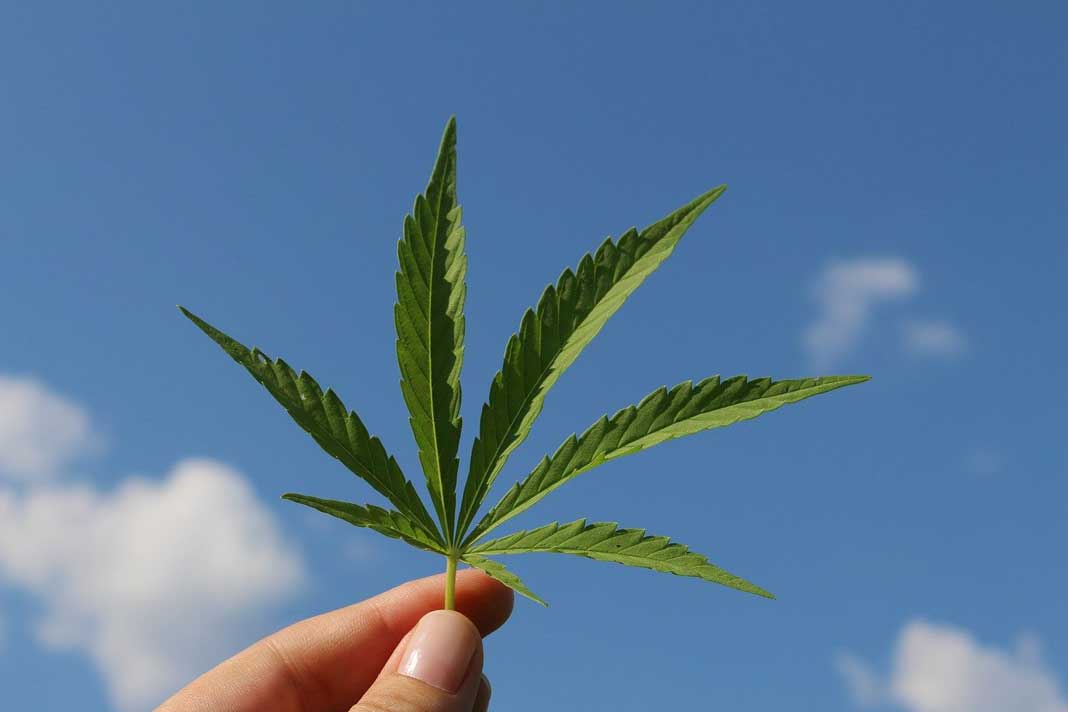 CBD Oil FAQ